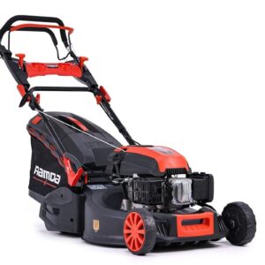 RA-698882-Y196V_1_1_b