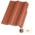 GOLOB KRAJNIK – V BARVI