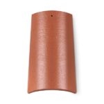 GOLOB SLEMENJAK – V BARVI