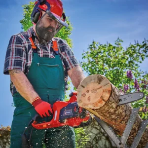 Einhell GC-EC 2040 električna verižna žaga