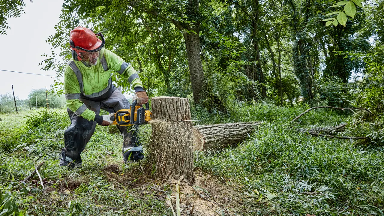 DEWALT DCMCS574N AKU VERIŽNA ŽAGA