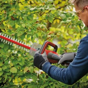 Einhell GC-CH 18/50 Li-Solo Akumulatorske škarje za živo mejo