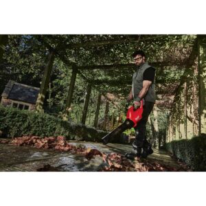 Milwaukee M18 FBLG3-0 FUEL Akumulatorski pihalnik